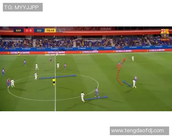 哈兰德：足球场上的新星崛起与未来发展潜力分析